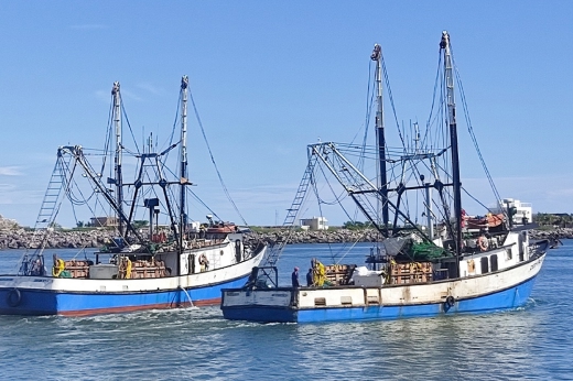 Mazatlán commercial fishing boats at sea – El Faro Seafood sustainable fishing fleet