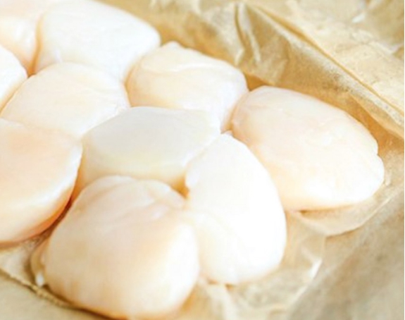 Fresh scallops arranged on parchment paper – perfect for searing.