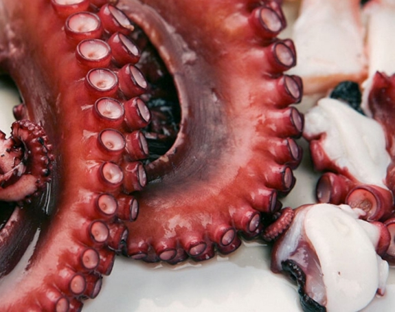 Close-up of octopus tentacles with texture detail – high quality seafood.