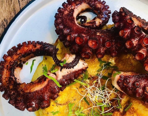 Grilled octopus plated with herbs and olive oil – Mediterranean style.