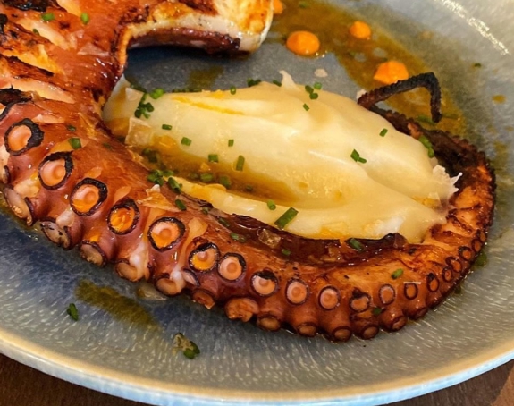 Cooked octopus tentacle served on rustic plate – premium texture.