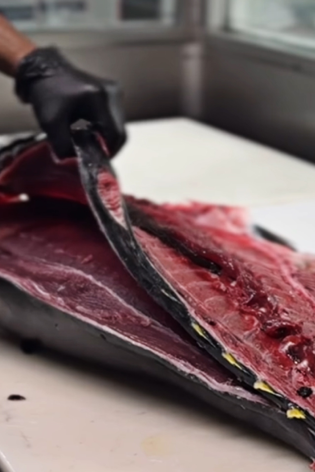 Butcher filleting fresh tuna loin – premium sashimi-grade tuna by El Faro Seafood