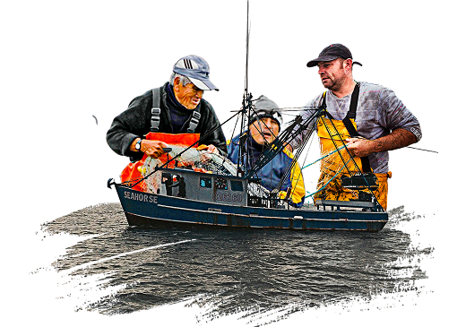 Fishermen on a small commercial fishing boat sorting fresh catch – sustainable seafood practices by El Faro Seafood